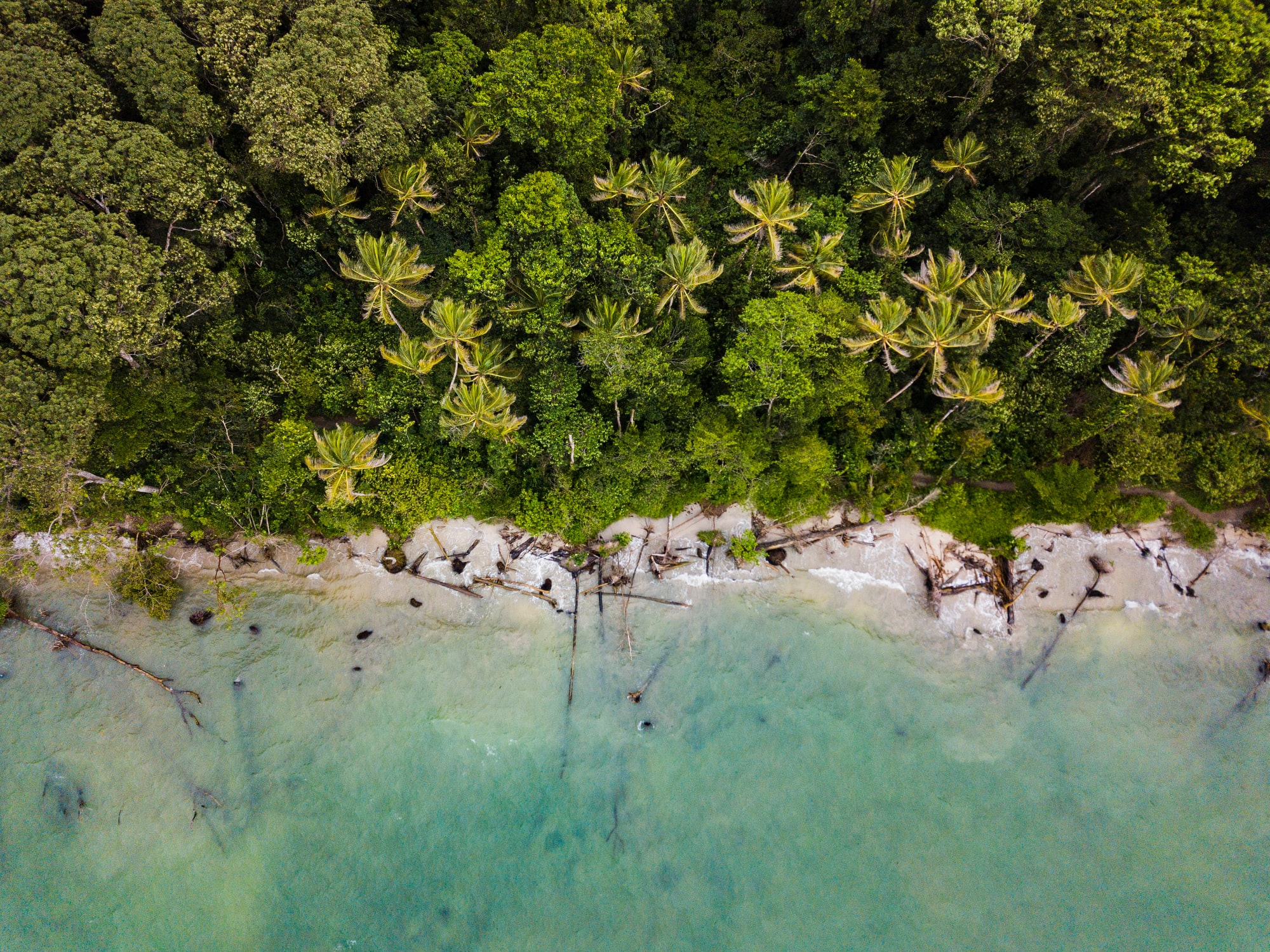 A Guide to Santa Teresa for the Digital Nomad Costa Rica [2025 Update]