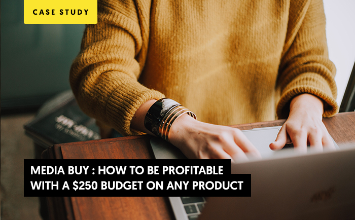 Media Buy Case Study: How to be profitable with a $250 budget on any product.