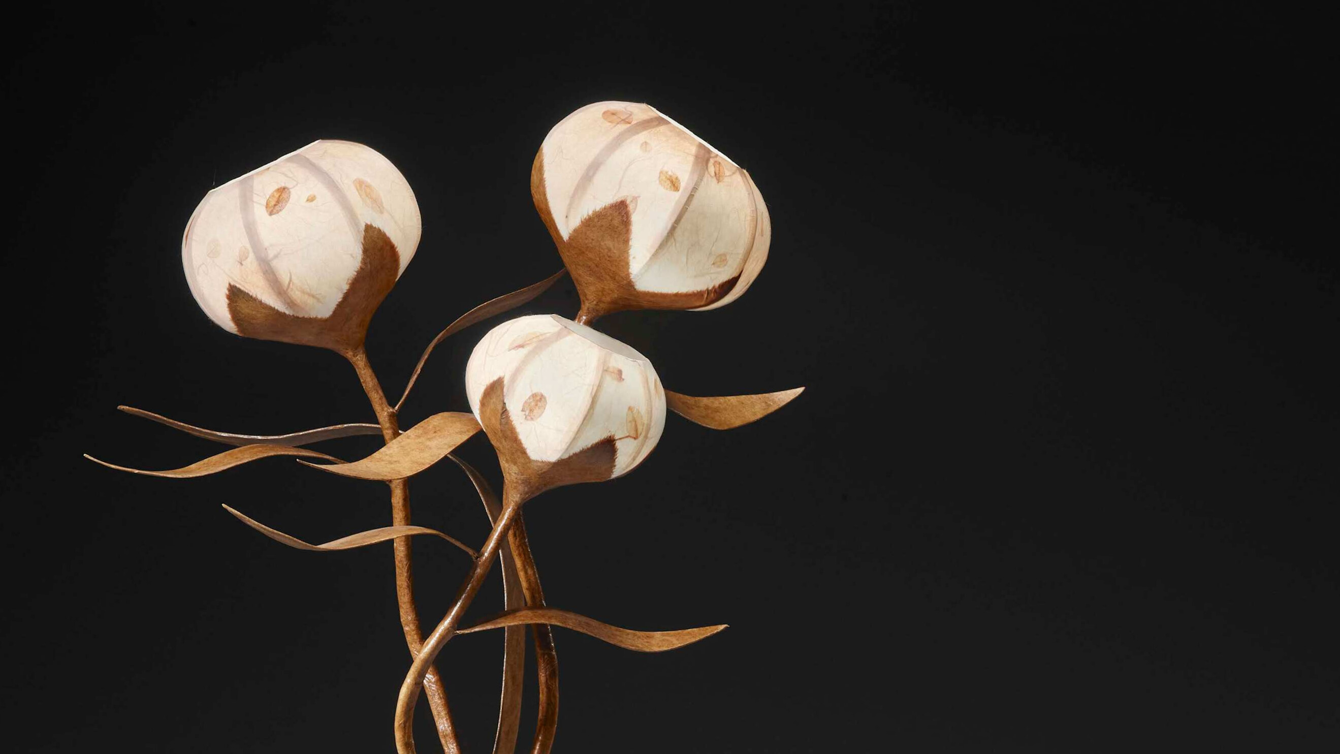 February 2026 Roundup: Sparks Fly