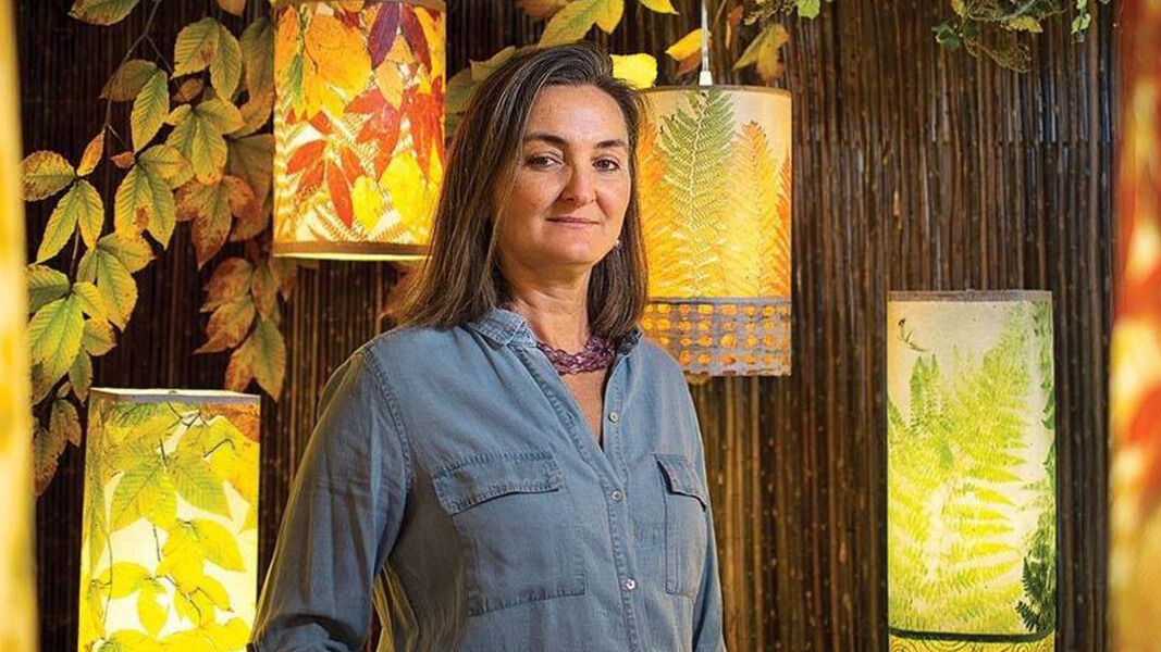 Liminal Light: 11 WNC Artists Brighten Winter With Dazzling Craft Exhibition