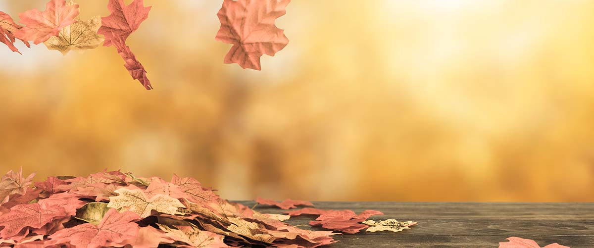 What Does it Mean to Embody?