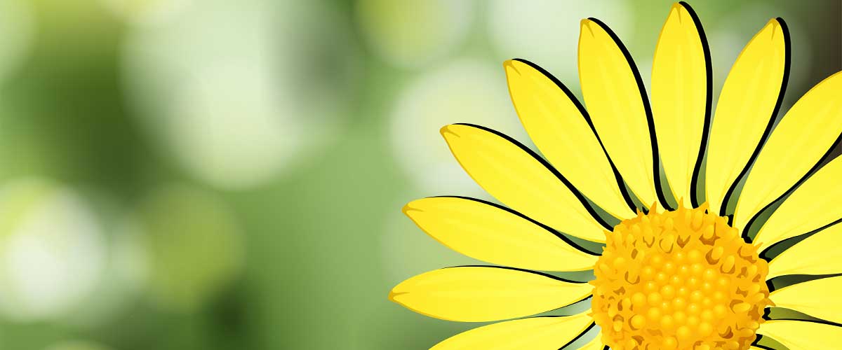 How to Create a Flourishing Enterprise - Appreciative Leading - PS108