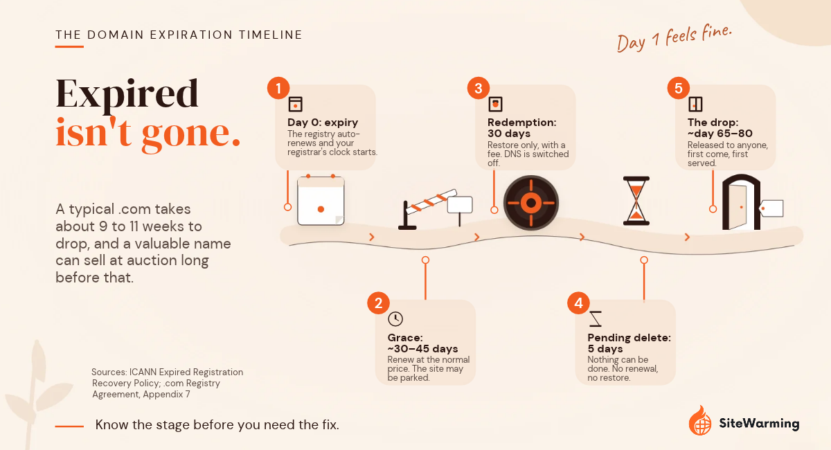 What Actually Happens When Your Domain Expires (Day by Day)