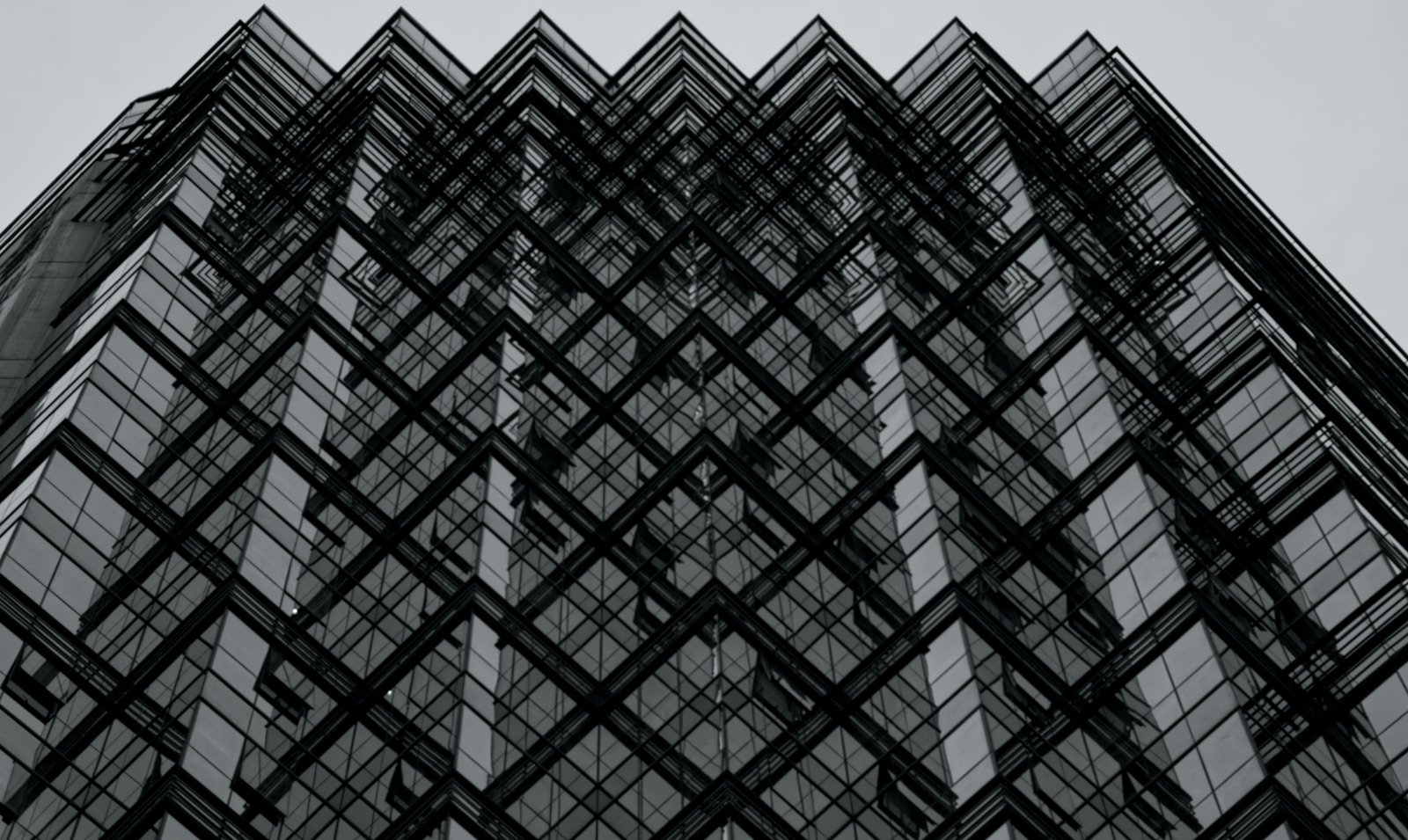 A symmetrical black and white glass building facade, overcast light reflecting off architectural surfaces, the quiet geometry of assessment and contemplation