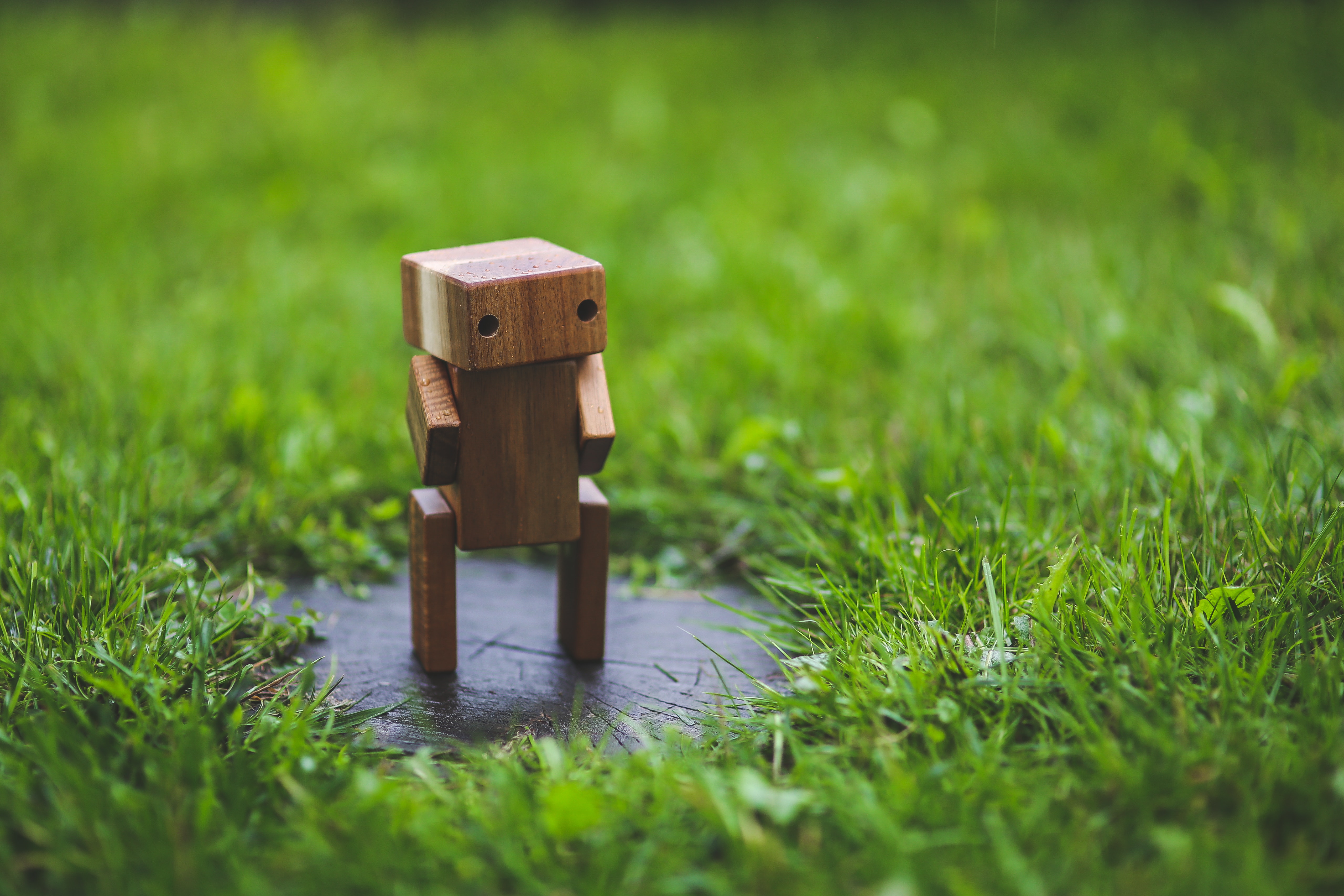 Will AI Replace Software Developers?