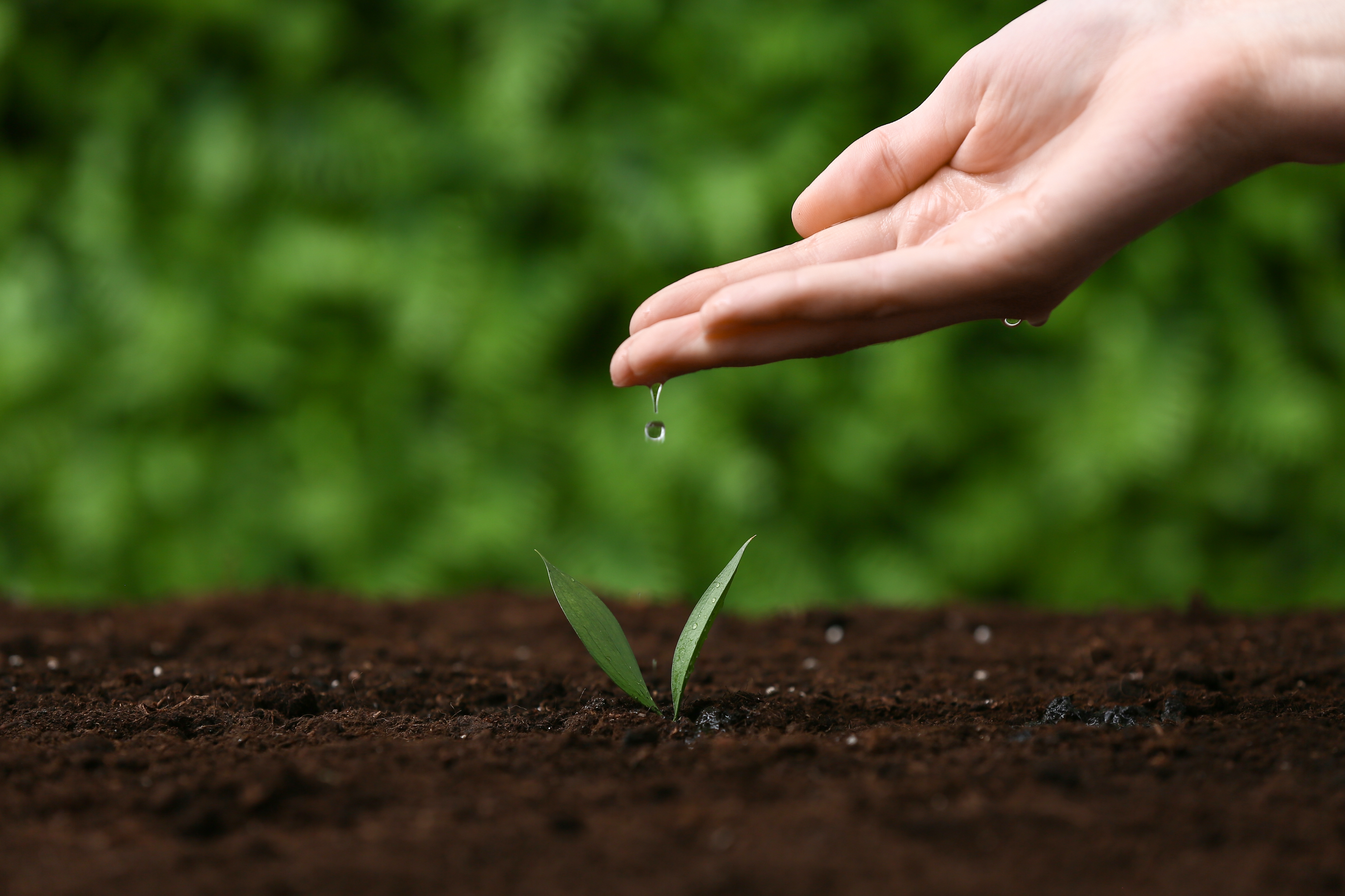 Finding the Right Opportunity: Timing, Environment, People