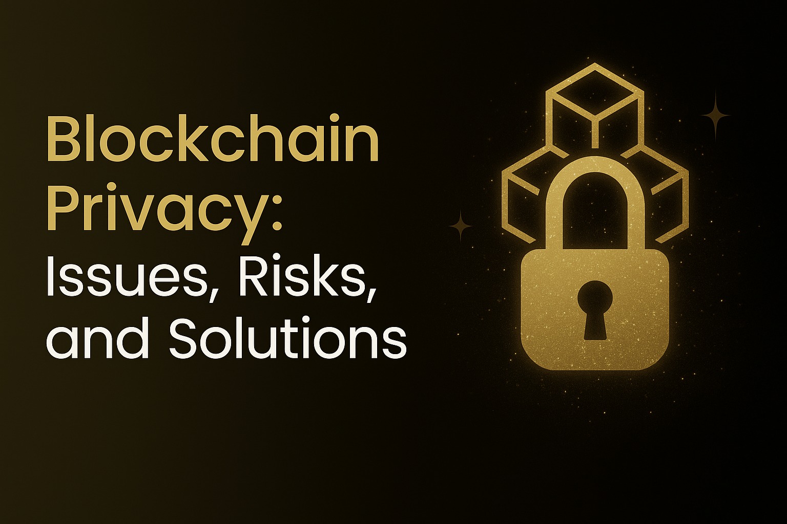 Blockchain Privacy Issues, Risks, and Solutions