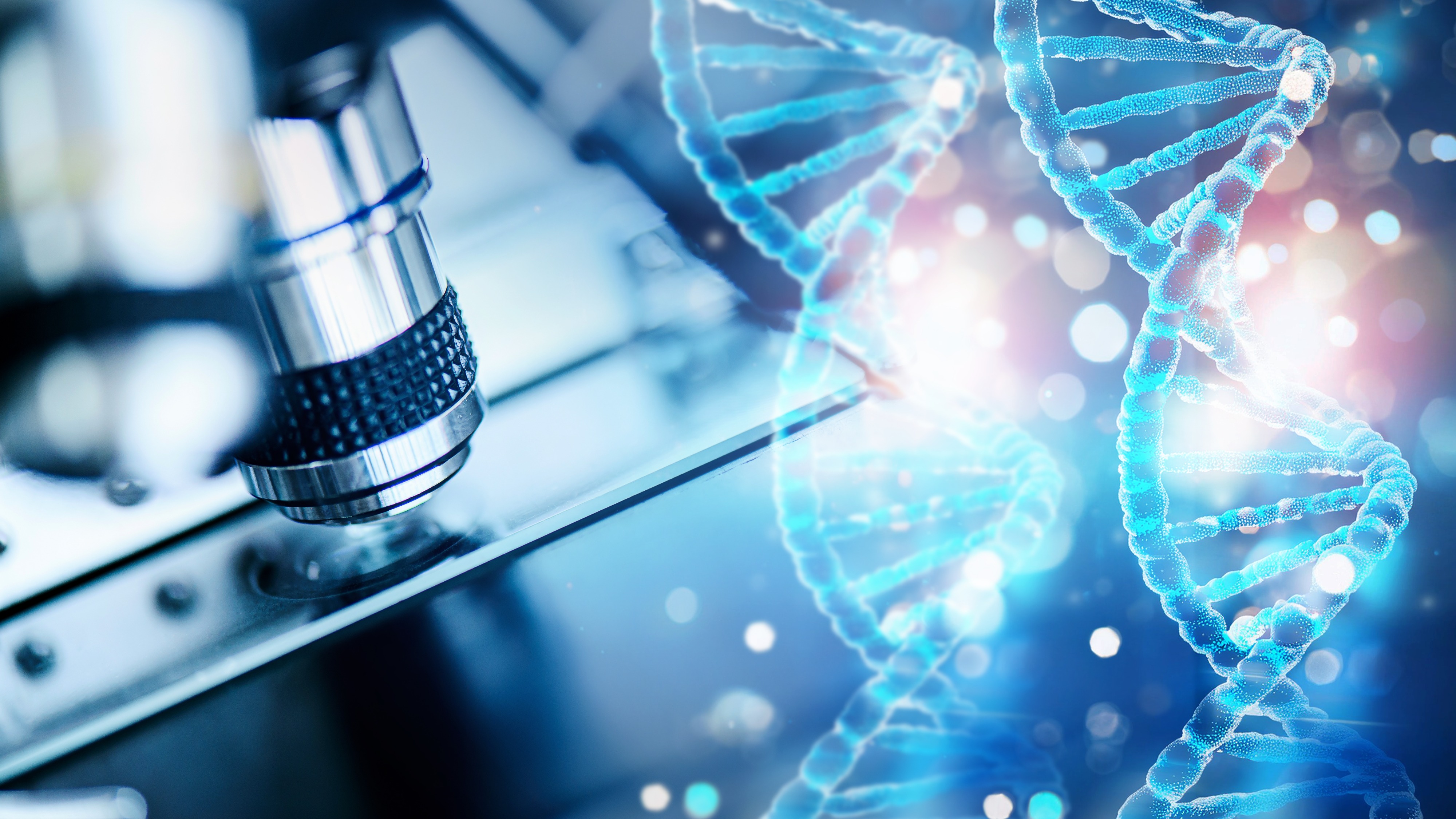 Close up of research conducted for In Vivo Efficacy